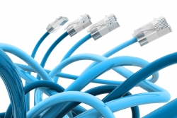 Blue color network cable